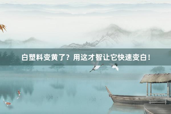 白塑料变黄了？用这才智让它快速变白！