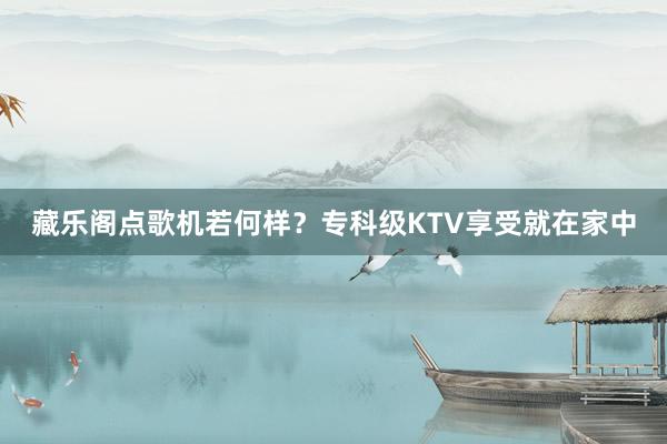藏乐阁点歌机若何样？专科级KTV享受就在家中
